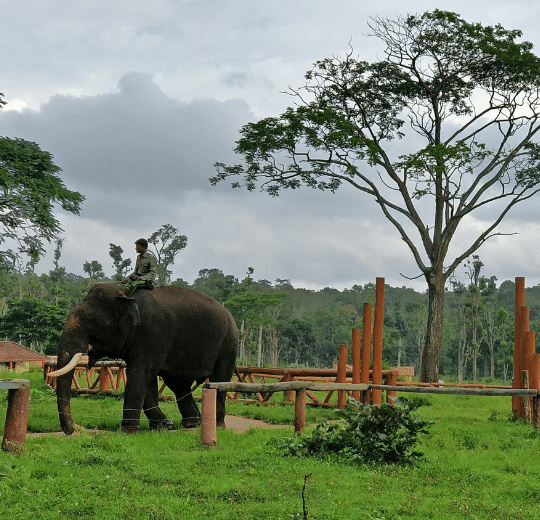 Coorg Backpacking