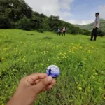 Gallery Thumbnail 2