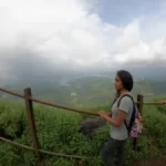 Gallery Thumbnail 6
