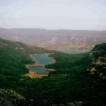 Gallery Thumbnail 11