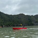 Gallery Thumbnail 12