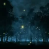 Fireflies festival-1