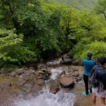Gallery Thumbnail 9