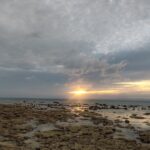 Gallery Thumbnail 13