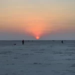 Gallery Thumbnail 0