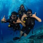 Gallery Thumbnail 11