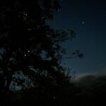 Gallery Thumbnail 4