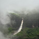 Gallery Thumbnail 0