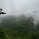 Gallery Thumbnail 4