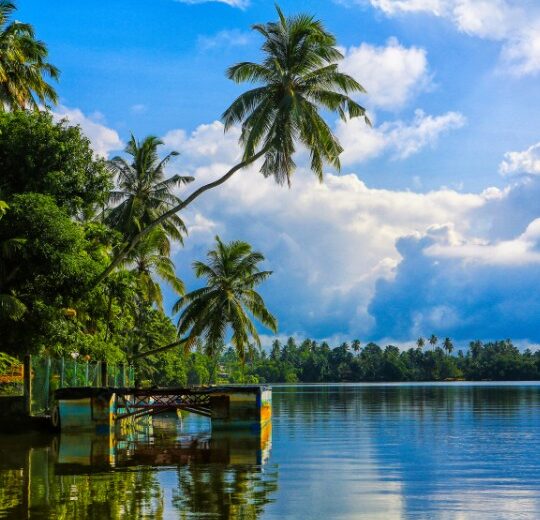 Sri Lanka - New Year Special