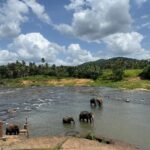 Gallery Thumbnail 10