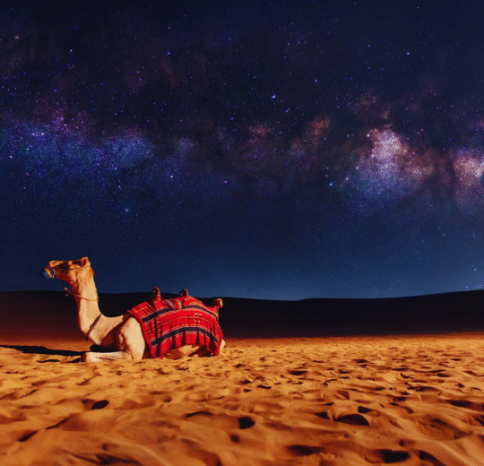 Jaisalmer Astro Trip