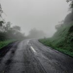 Gallery Thumbnail 1