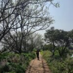 Gallery Thumbnail 2